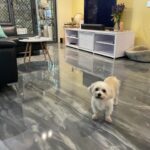 Indoor epoxy flooring Gold Coast
